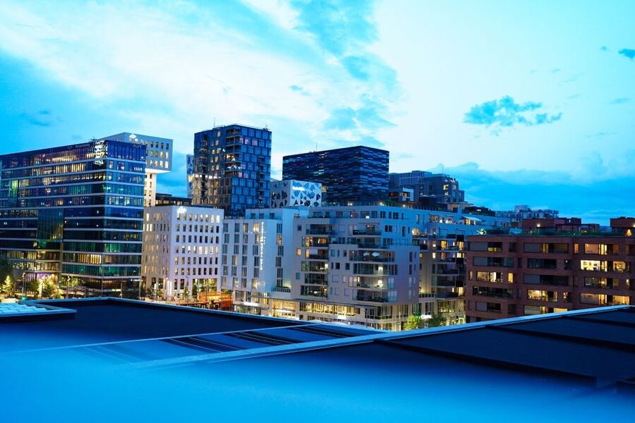Oslo: Private Walking Tour with a Local Guide - A private introduction to Oslo, built around you