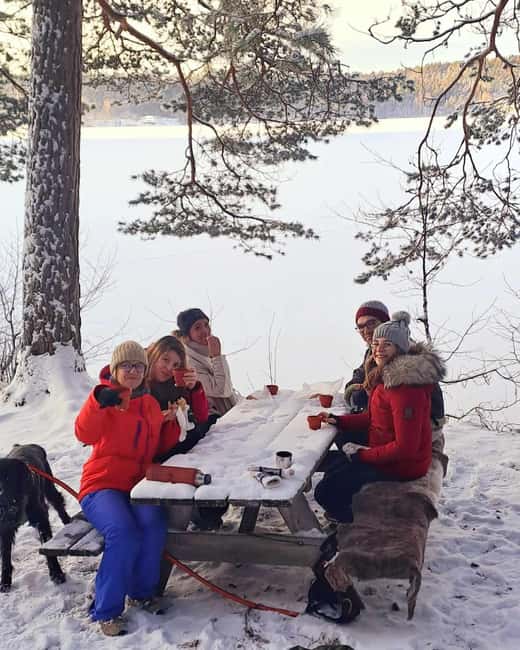 Oslo: Scenic Forest Hike with Dog & Local Guide - Key points at a glance
