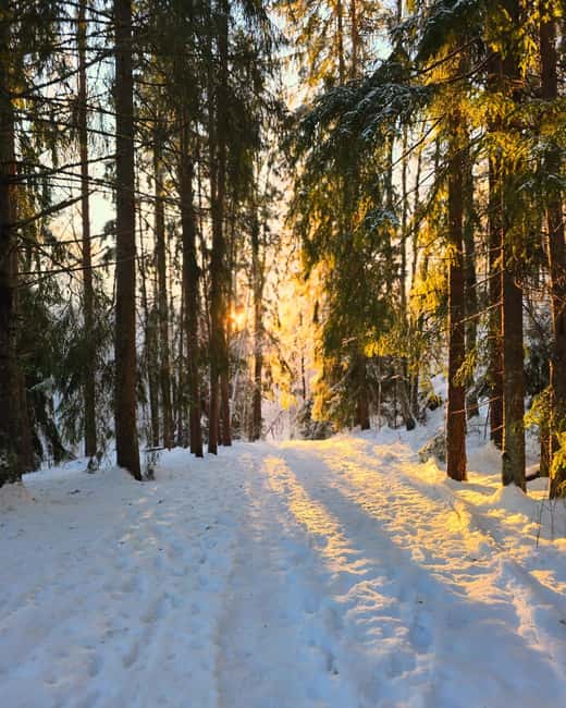 Oslo: Scenic Forest Hike with Dog & Local Guide - The second climb and the return route