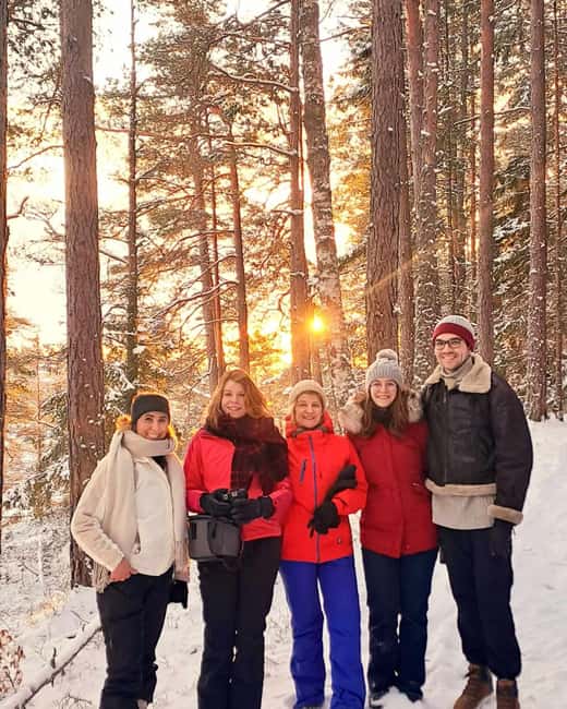 Oslo: Scenic Forest Hike with Dog & Local Guide - Getting to Kolbotn from central Oslo
