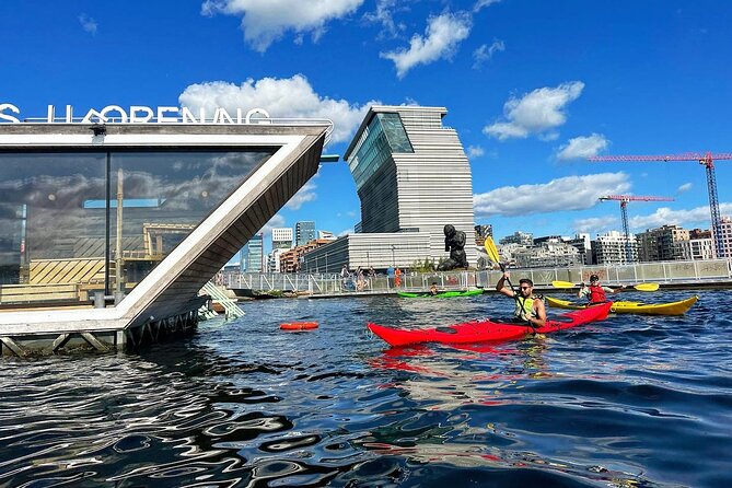 Oslo Sea Kayak Tour: Explore The Incredible Oslofjord - Contemporary art, Munch, and Deichman Bjørvika