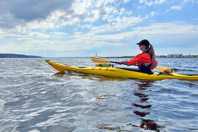 Oslo Sea Kayak Tour: Explore The Incredible Oslofjord - Family suitability and fitness needs