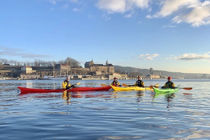 Oslo Sea Kayak Tour: Explore The Incredible Oslofjord - Aker Brygge and Akershus Fortress