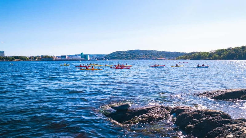 Oslo Sea Kayak Tour “Fjord City” - Key points
