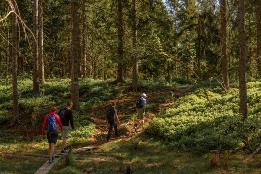 Oslo: Skjennungstoppen Wildlife Forest Hiking Tour - Ullevålseter offers a second cabin break