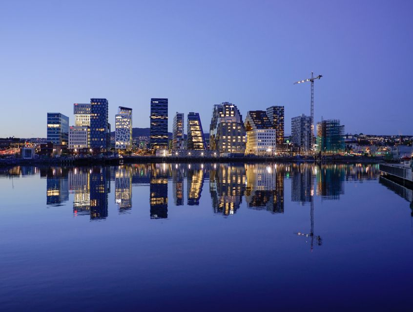 Oslo: Skyline in Winter With Fish Soup Cruise - Booking details that matter
