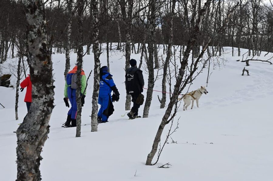 Oslo: Snowshoeing in the Forest with Norwegian BBQ - Key points to know before you go