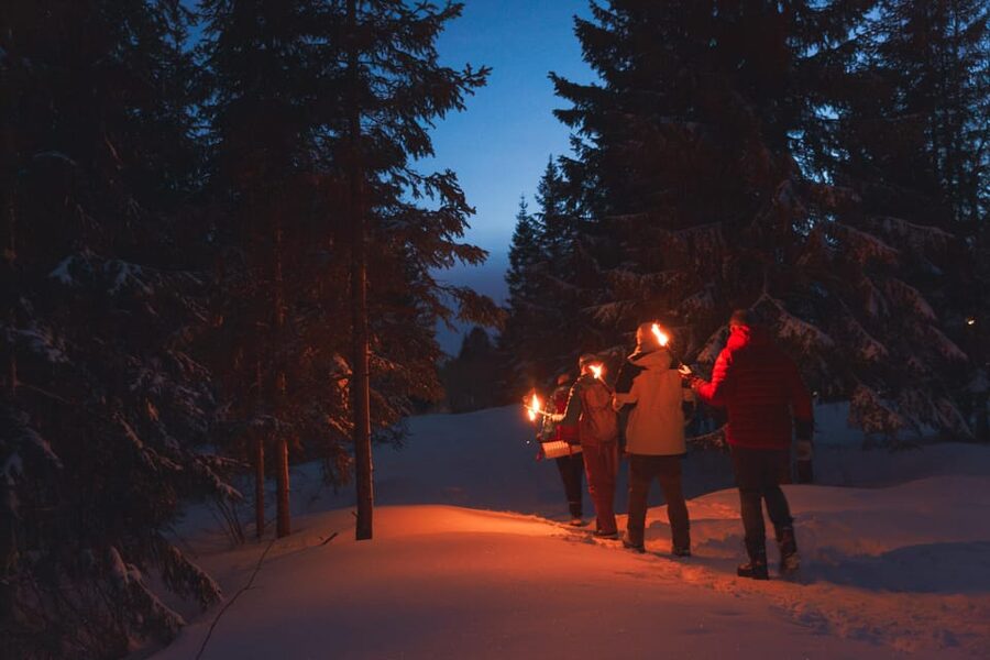 Oslo: Snowy Forest Torchlight Walk with Campfire - From Backstube Opera to Oslo’s winter hills