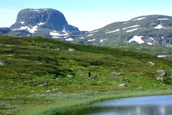 Oslo To Sognefjord Private Full Day Roundtrip Including Flam Railway - Flåm and the famous mountain railway