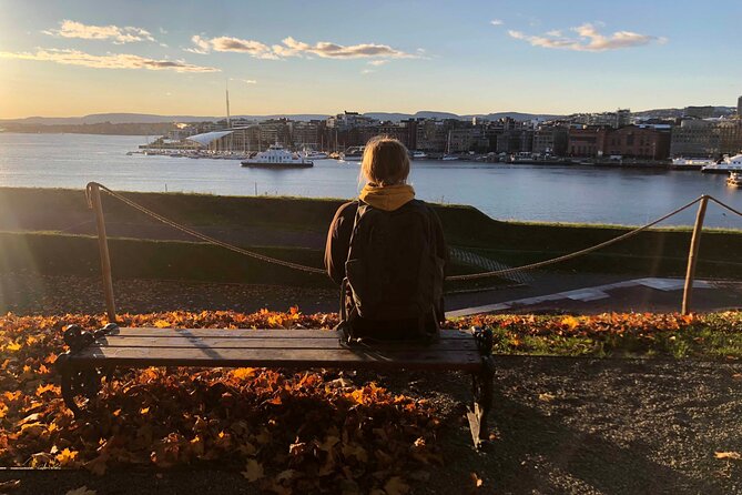Oslo Unveiled: Private Walking Tour - Akershus Fortress and the making of royal Oslo