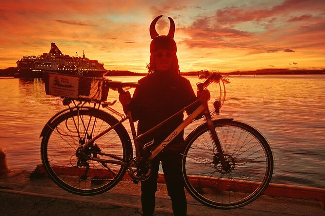 Oslo Winter Highlights Bike Tour - Starting near Nedre Slottsgate