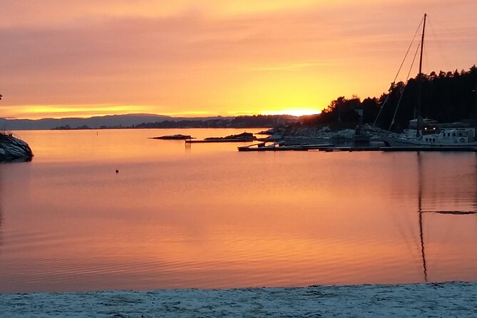 Oslo Winter Highlights Bike Tour - Seasonal stops and chances to warm up