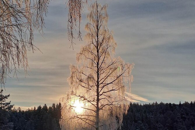 Oslo: Winter wonderland forest hike & campfire with a dog - Winter gear and seasonal planning