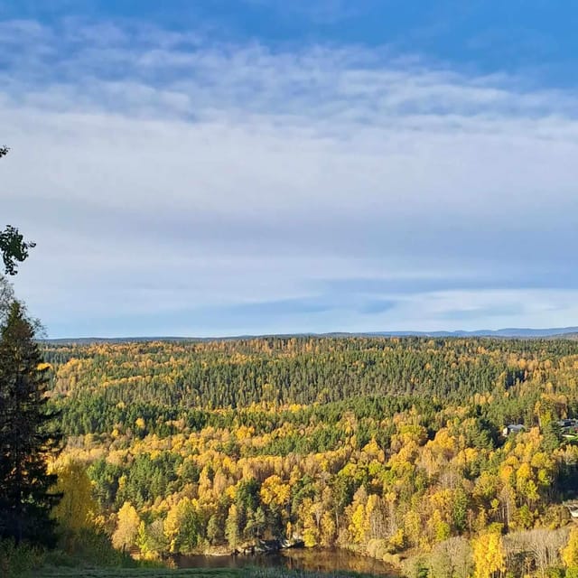 Oslo: Yoga & Hiking with a dog - Key points to know before booking