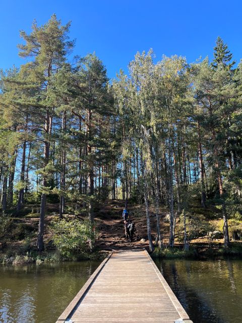 Oslo: Yoga & Hiking with a dog - Time with the dog