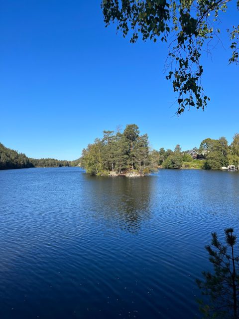Oslo: Yoga & Hiking with a dog - Practical planning for the morning