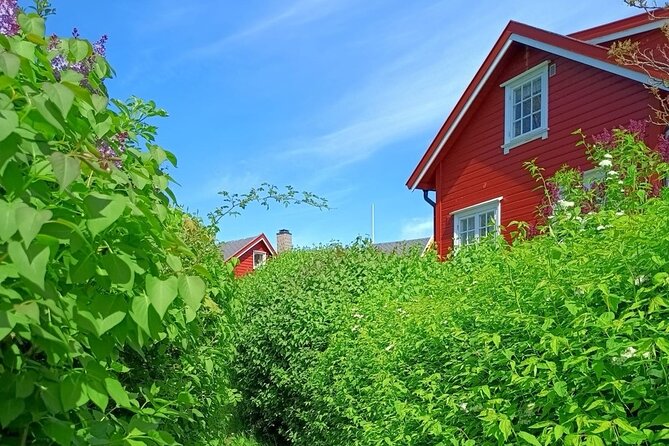 Oslofjord Island Hopping Tour - At a glance: what this Oslo island tour includes