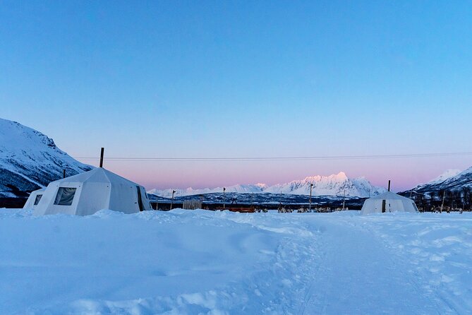 Overnight Stay with Reindeer Sledding & Feeding - The reindeer sled ride is short, but memorable