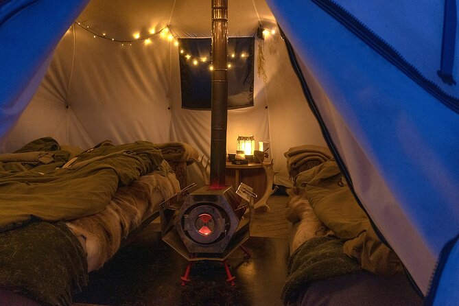 Overnight Stay with Reindeer Sledding & Feeding - Is $484.16 a fair price?