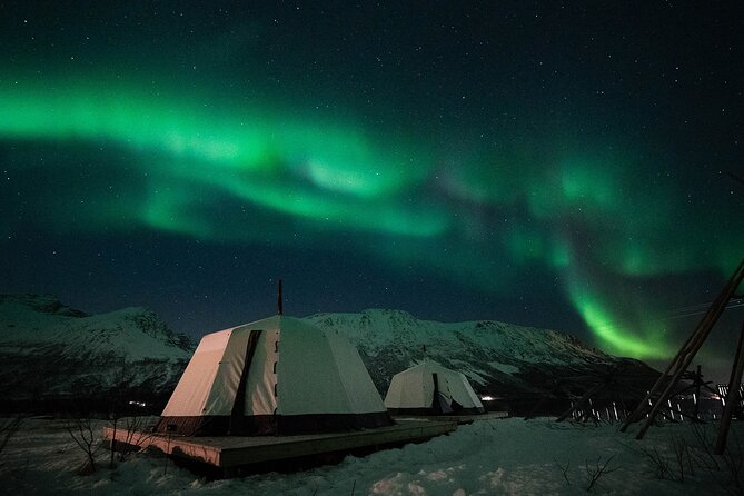 Overnight Stay with Reindeer Sledding & Feeding - Feeding reindeer gives you more time with the animals