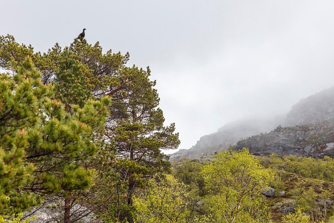 Preikestolen Hidden Trail Hike + Lunch and Canoe Trip - The long descent back to Basecamp