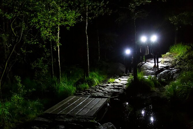 Preikestolen Sunrise Hike And Breakfast Buffet - What the guides add to the experience