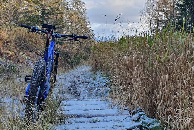 Premium eBike rental - Bodømarka and Soløyvatnet for a longer ride