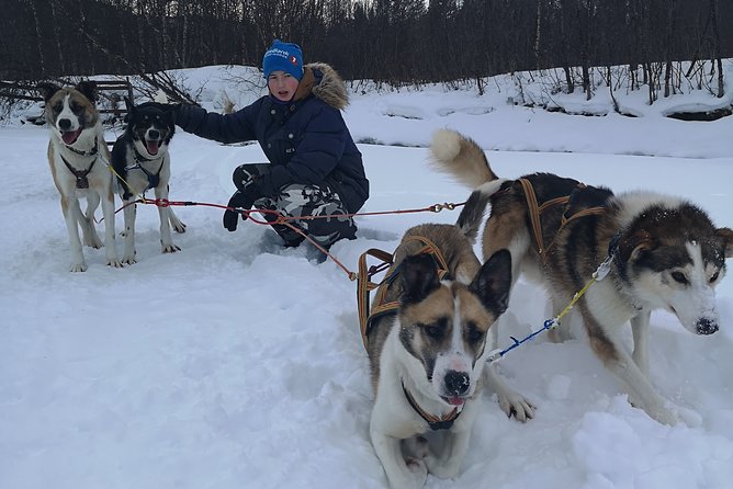 Privat sled trip with husky in the alta valley - What the 45 to 60 minute sled ride feels like