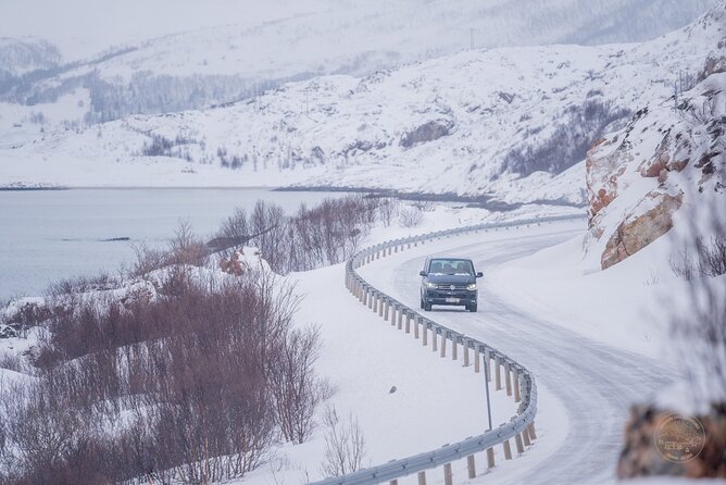 Private Arctic Fjord Roadtrip with Scenic Picnic from Tromso - Reindeer and wildlife sightings