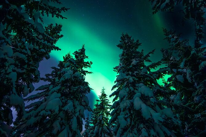 Private Aurora Hunting with Professional Photographer from Alta - The private format changes the evening