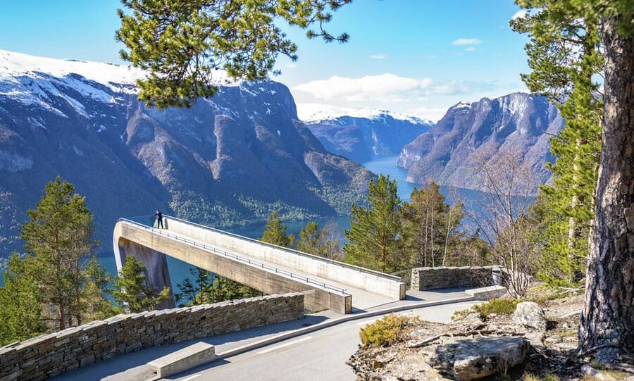 Private Day Tour- Flam Railway & Fjord Cruise From Bergen - Bergen to Voss: A Scenic Start Before the Main Event