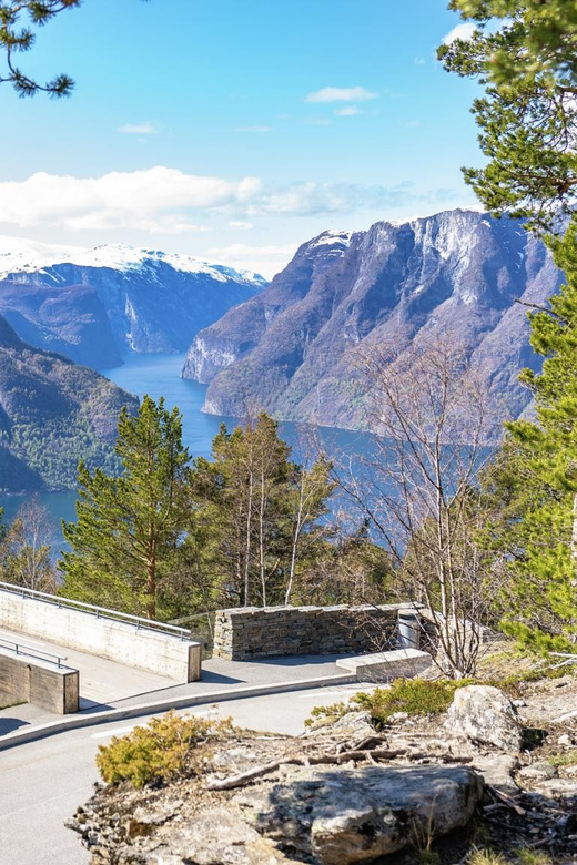 Private Day Tour- Flam Railway & Fjord Cruise From Bergen - Gudvangen to Bergen by Road