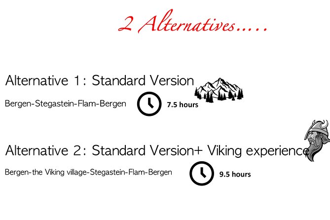 Private Day Tour to Flam and Stegastein - Stegastein is worth the long ride
