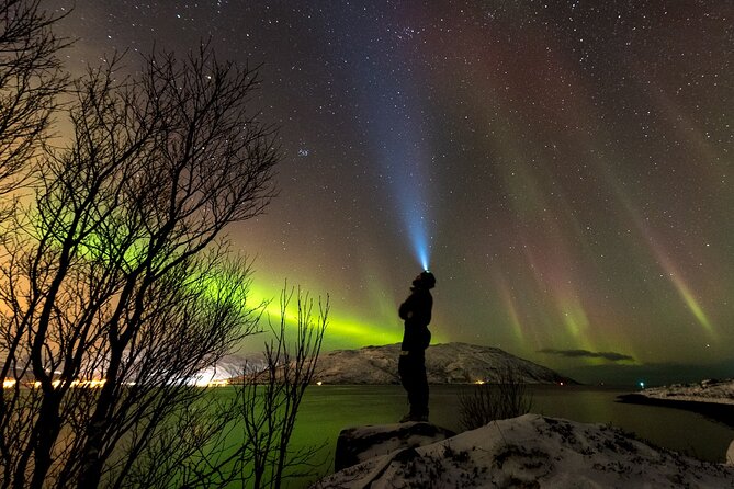 Private & Exclusive Northern Lights Tour with Professional guide - Why Tromsø works so well for an aurora chase