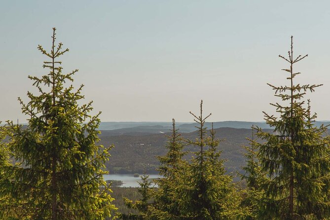Private Great lake tour - Reaching Maridalsvannet by forest paths