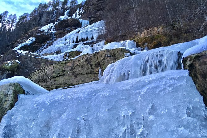 PRIVATE GUIDED TOUR: Highlights of Norway – Trip to the Sognefjord – WINTER - Flåm, lunch, and the railway decision
