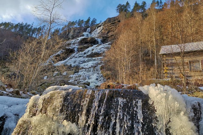 PRIVATE GUIDED TOUR: Norway's Highlights – Viking Special, 11-12 hours – WINTER - Choosing the Nærøyfjord experience