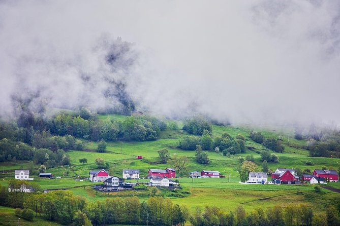 PRIVATE GUIDED TOUR: Norway's Highlights–Viking Special, 11 h - Key points to know before booking