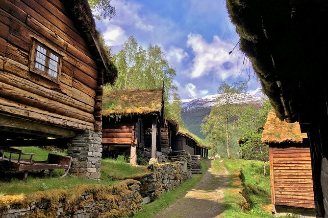PRIVATE GUIDED TOUR: Norway's Highlights–Viking Special, 11 h - Choose your Nærøyfjord plan before you leave Bergen
