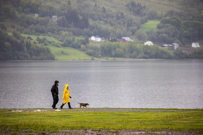 PRIVATE GUIDED TOUR: Norway's Highlights–Viking Special, 11 h - Stalheim Hotel offers a high view over Nærøydalen