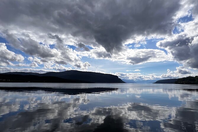Private Guided Tour of Bergen and the Best of Norwegian Fjords - Key points to know before booking