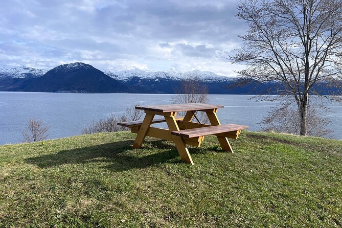 Private Guided Tour of Bergen and the Best of Norwegian Fjords - Crossing the fjord from Hatvik ferjekai