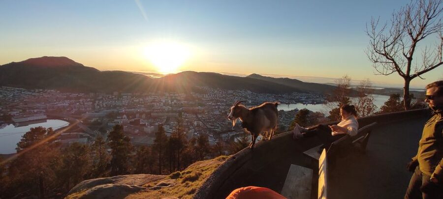 Private hiking tour Bergen mountains like a local - Choosing between a gentle path and a rougher climb