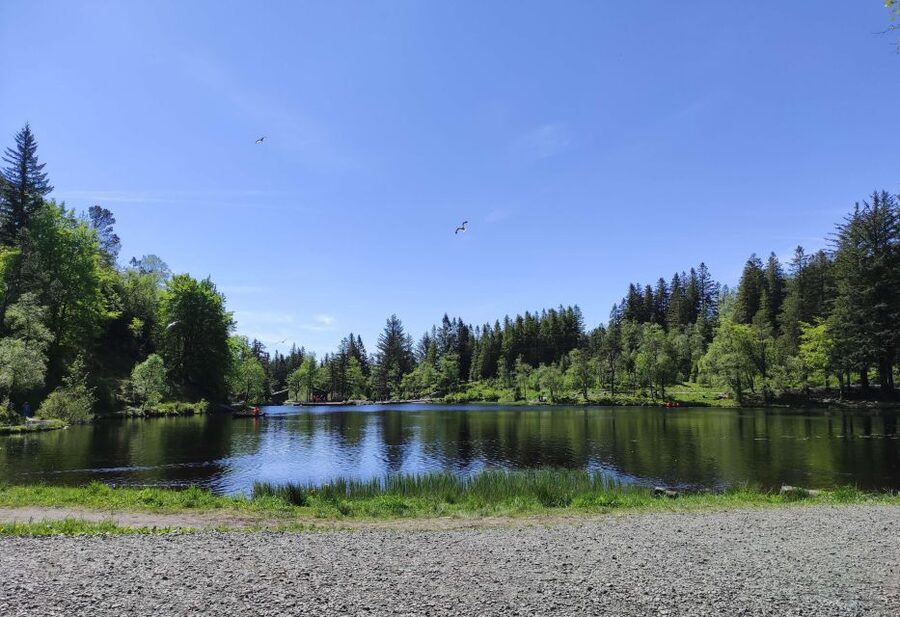Private hiking tour Bergen mountains like a local - Local stories make the hike more than a viewpoint walk