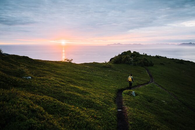 Private Midnight Tour To Gimsøya - Key points to know before booking