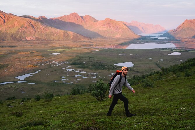 Private Midnight Tour To Gimsøya - Who will enjoy this private evening most