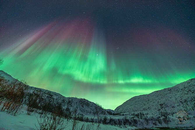Private Northern Lights Chase with Photography from Tromsø - Who will enjoy this most