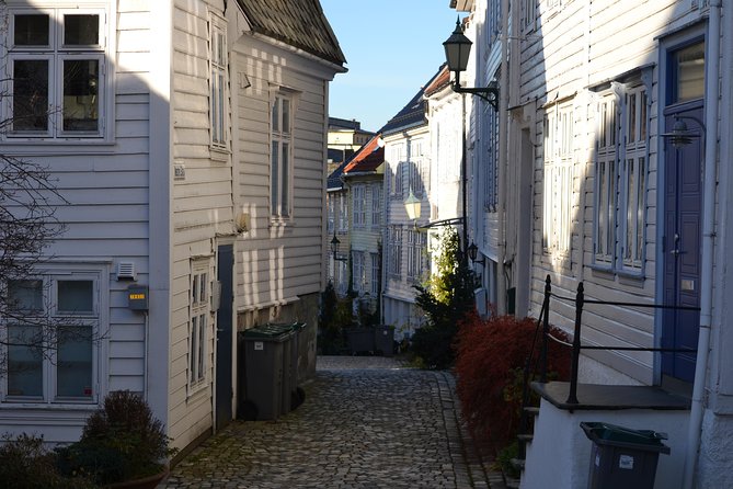 PRIVATE TOUR: Bergen city sightseeing, 3 hours - What the private vehicle adds