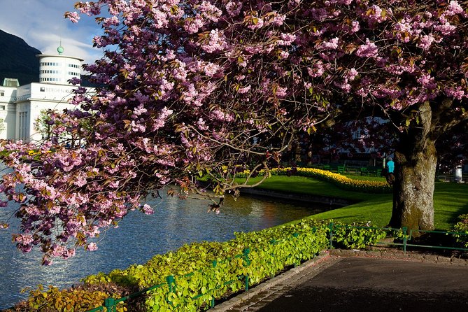 PRIVATE TOUR: Bergen city sightseeing, 5 hours - A smart way to see Bergen in five hours