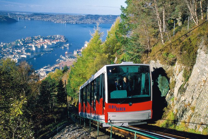 PRIVATE TOUR: Bergen city sightseeing, 5 hours - Fantoft Stave Church and Gamlehaugen